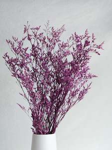 Floral Stems Bar: Limonium - Purple