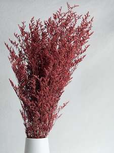 Floral Stems Bar: Limonium - Red