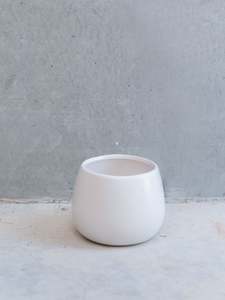 Willow Belly Vase