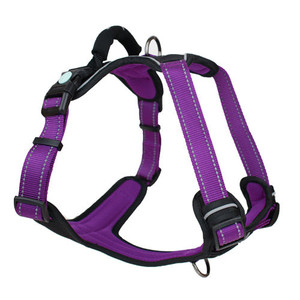 Products: Huskimo Harness My Vxw Site 1ggjum