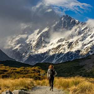 Products: The Roady Wanderer