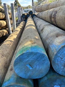 SED Timber Poles for Retaining Walls WBS Henderson