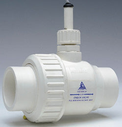 Skimmers Main Drain Jets Pipe Work: Flocheck valve