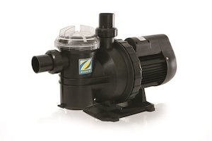 Pumps Pools And Spas: Zodiac Pumps - Titan model