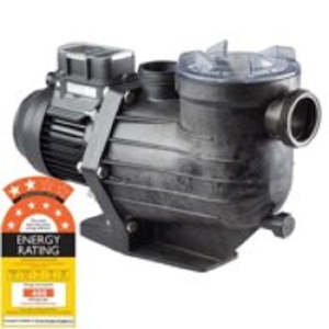 Pumps Pools And Spas: Davey Powermaster Eco 2 speed pump