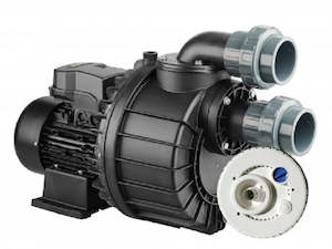 Alpha: Davey Hurricane Pump & Swimjet system