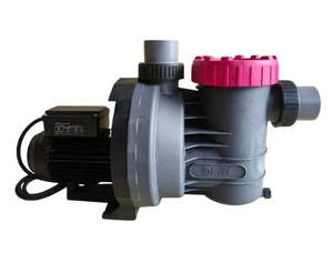 Pools And Spas: BWT iSTAR 19 - Filter pumps