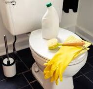 Products: Bowl Clean - Waterford Painting & Trade Supplies