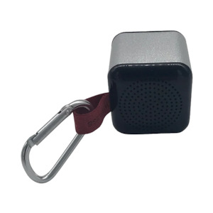 Moana Road: Moana RD Mini Speaker