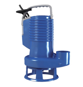 Products: ZENIT DG Blue Professional Series Pumps WTSNZ