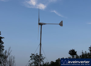 1KW 24v Horizontal Wind Turbine with Controller Kit