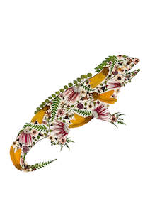Art Print - Tuatara - New 2025