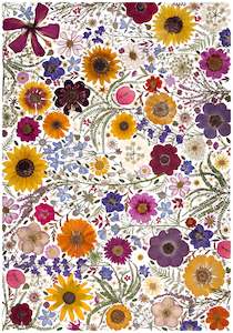 Art Print - Botanist