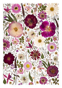 Art Print - All the pinks