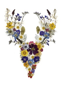 Frontpage: Art Print - Stag