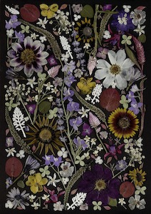 Frontpage: Art Print - Black Magic