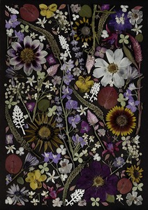 Frontpage: Art Print - Black Magic