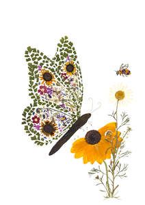 Card - Pollinators - New for 2026