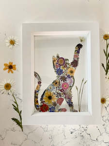 Frontpage: Small framed print - Cat