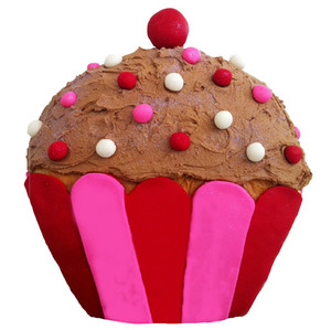 Products: Girl’s First Birthday Candy Stripe DIY Cupcake Kit Cake 2 The Rescue