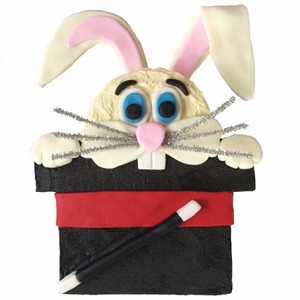 Products: Magician DIY Birthday Cake Kit Circus and Magic Party Cake Ideas