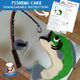 Fishing Cake Template and Tutorial PDF Download Easy Design