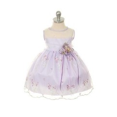 Embroidered Sheer Organza Dress