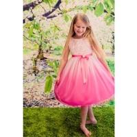 Ombre Dress