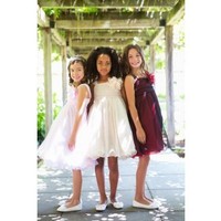 Double Layered Mesh Dress
