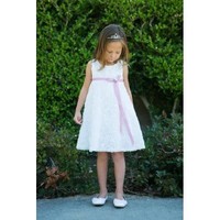 Rose Embroidered Dress