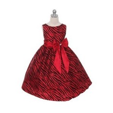 Zebra Pattern Dress