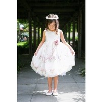 Embroidered Sheer Organza Dress
