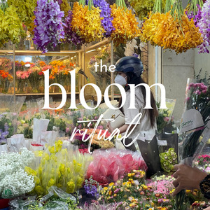 The Bloom Ritual – Wedding Floral Packages