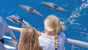 Products: 10% on Tikapa Moana Whale and Dolphin Wildlife Cruise with Explore Group