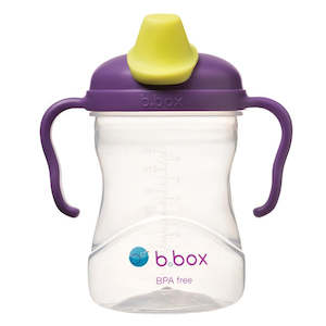 B.Box Spout Cup