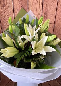 All about Lilies