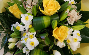 Spring at home
