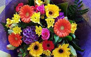 Colourful greetings