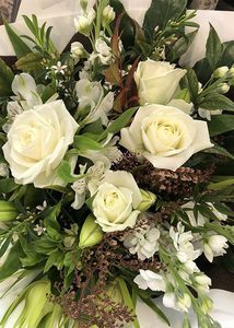 White dream