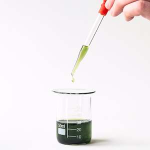 Sleep Essentials: Sleep Pure Essential Oil Blend