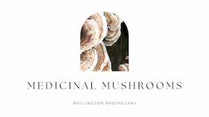 E Books: MEDICINAL MUSHROOMS
