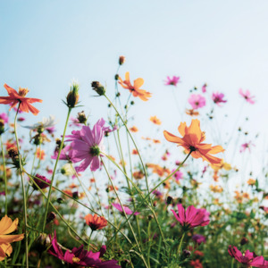 Workshops: The Language of Colour - Workshop Series