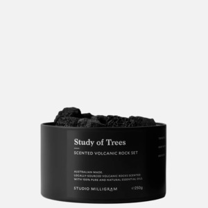 Aromatherapy: Study of Trees Scented Volcanic Rock Set