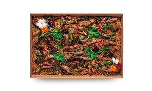 Products: Cantonese Style Shredded Duck Chow Mein Dragons Restaurant