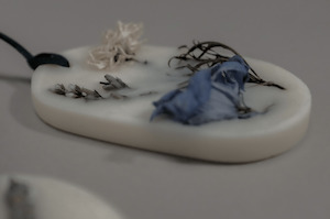 Field of South Botanical Oval Palet