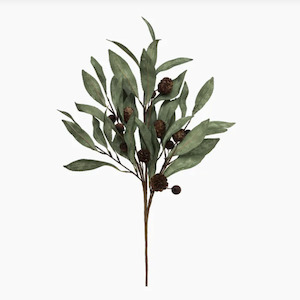 Living: Eucalyptus & Brown Berry Wood Branch