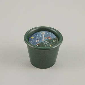 St Eval Stardust Green Pot Winter Thyme