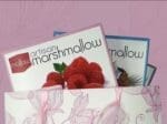 Products: Great Day Artisan Marshmallow (assorted, 9-pieces)
