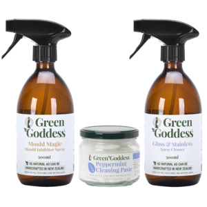 Mould Removal Kit