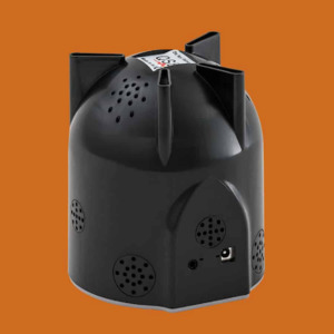 QSB Quantum Scalar Box
